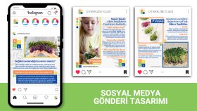 SSC Laboratories | Sosyal Medya Gönderi Tasarımı