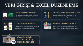 veri girişi ve Excel düzenleme işlemlerinizi yaparım