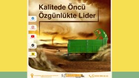 profesyonel post tasarımı yaparım