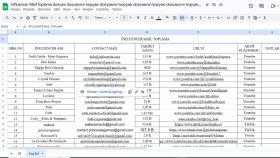 Influencer Mail Toplama/ Pazar Araştırması