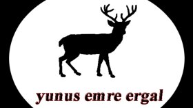 profosyonel olarak logo tasarımı yaparım