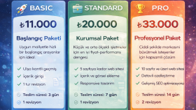 WordPress ile tam kapsamlı web siteleri geliştiririm