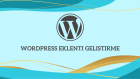 istediğiniz wordpress eklentisini yazabilirim