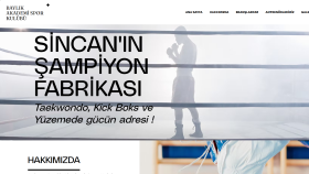 Baylık Akademi Spor Kulübü