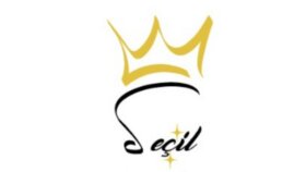 Güzellik Salonu - Logo Tasarımı