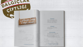 dalgıçlar katalog