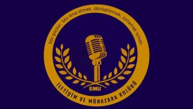 profesyonel kurumsal logolar tasarlarım