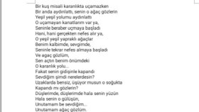 şarkı sözü yazarım