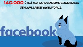 grubumla kedi kumu ve maması markanızın duyulmasını sağlarım