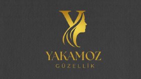 Profesyonel Logo Tasarımı