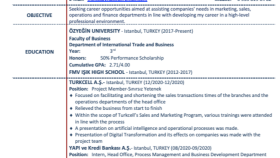 CV Hazırlama- Türkçe/İngilizce