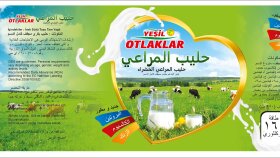 Etiket, IML, OPP, PVC, etiket tasarımları