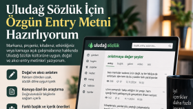 Uludağ Sözlük'te istediğiniz entry'yi açabilirim