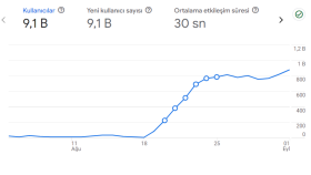 Google Analytics Verileri