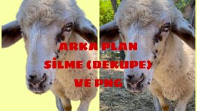 fotoğraflarınızı PNG ye dönüştürürüm