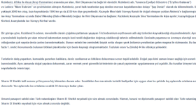 herhangi bir konu hakkında size yazılar yazabilirim