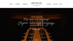 Luthier