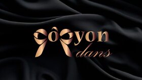 sade ve şık logolar tasarlıyorum