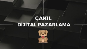 Örnek