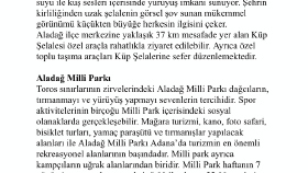 Adana Gezilecek Yerler