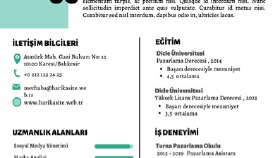 Cv/Ön yazı