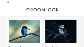 Groomlook 