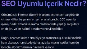 SEO Uyumlu Örnek Makale ve Blog İçeriği