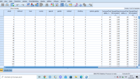 SPSS,R ile ilgili bazı çalışmalar