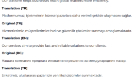 Website Content Translate Sample