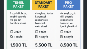 mobil uyumlu kurumsal siteler hazırlıyorum