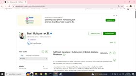 Upwork Deneyimim ve Uluslararası Projelerim