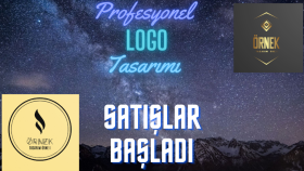 sizin için profesyonel olarak logo tasarlayabilirim