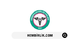 Hembirlik - Organizasyon Web Dönüşümü