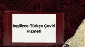 profesyonel i̇ngilizce türkçe çeviri yaparım