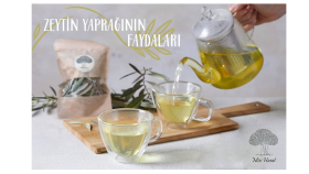 Sosyal Medya