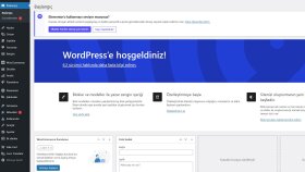sitenize içerik girişi ve sayfa tasarımı yapabilirim