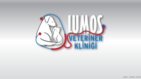 şirket ve marka logolarınızın çizimlerini yapabilirim