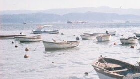 Yaratıcılık
