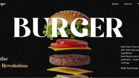 Full Stack Developer