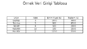 Ürün ve Veri Girişi Çalışmaları