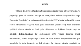Müşterim için tez yazdım