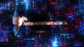 Konsept intro