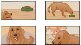storyboard tasarımı
