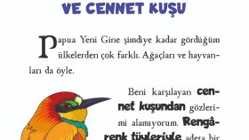 çocuk kitabı mizanpaj