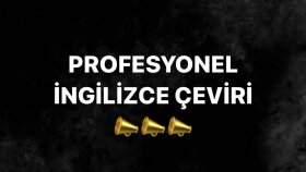 isteğiniz üzere profesyonel çeviri yapabilirim