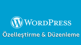 WP Düzenleme