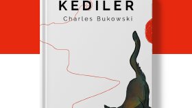 Kitap tasarımlarım