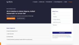 Profesyonel Koltuk Döşeme Web Tasarım