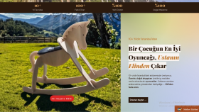 her türlü alanda stabil çalışacak web siteleri yazabilirim
