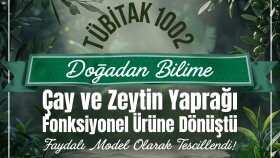 SOSYAL MEDYA TASARIMLARI 
